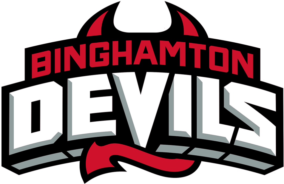 Binghamton Devils 2017-Pres Wordmark Logo iron on transfers for clothing